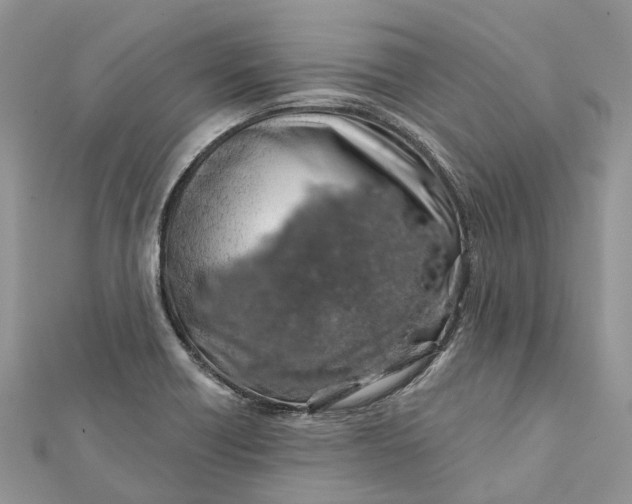 X0000112181418200908281351