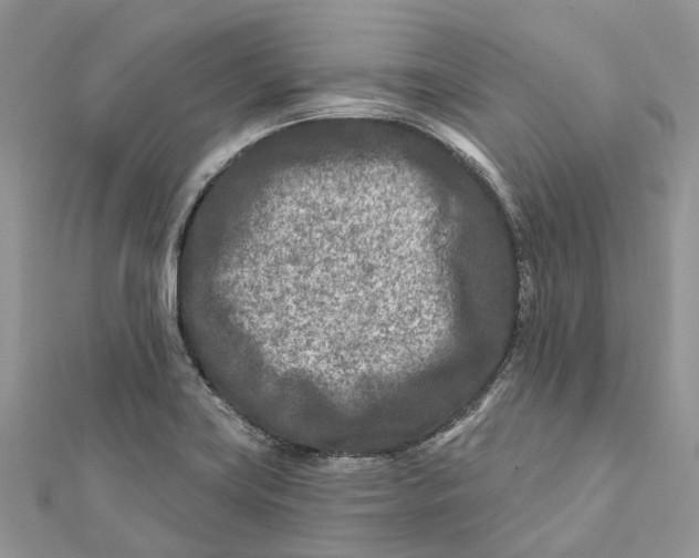 X0000112181419200908281351