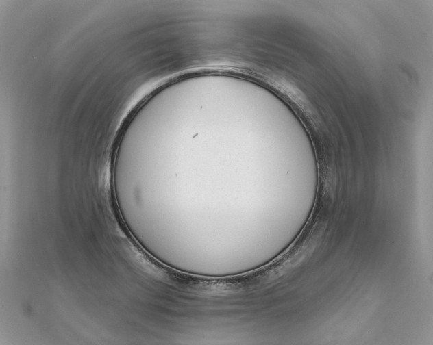 X0000112181420200908281351