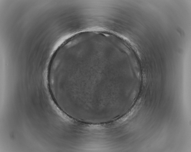 X0000112181422200908281351