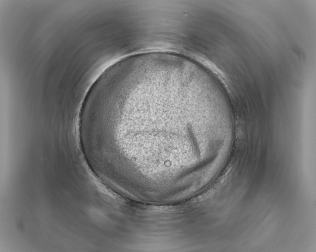 X0000112181423200908281351