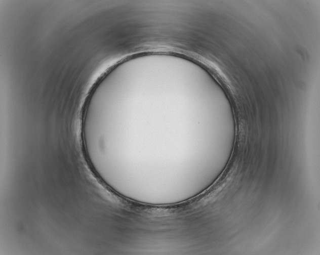 X0000112181424200908281351