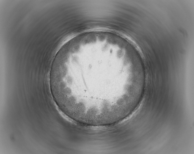 X0000112181425200908281351