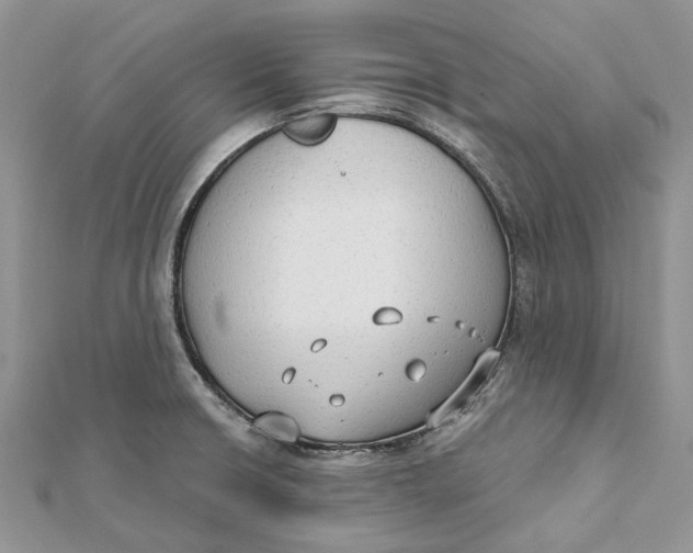 X0000112181426200908281351