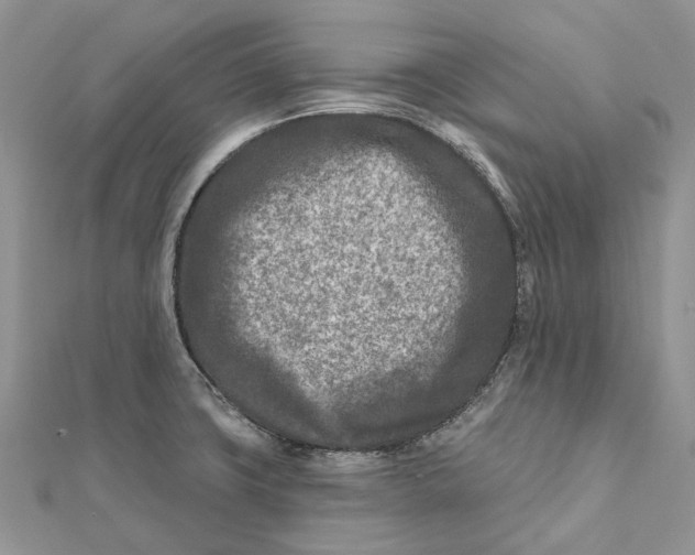 X0000112181427200908281351