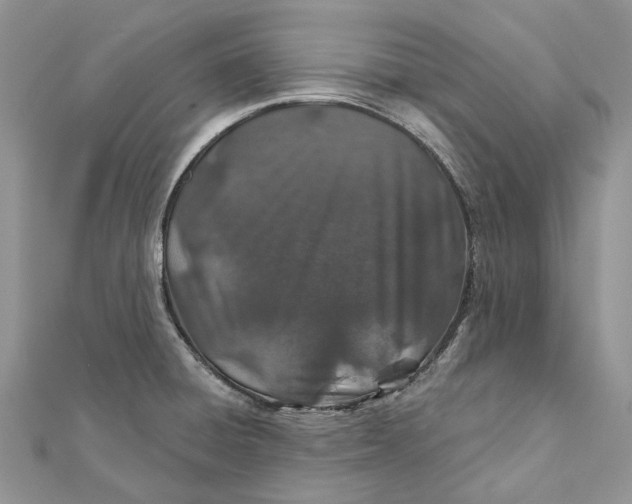 X0000112181428200908281351