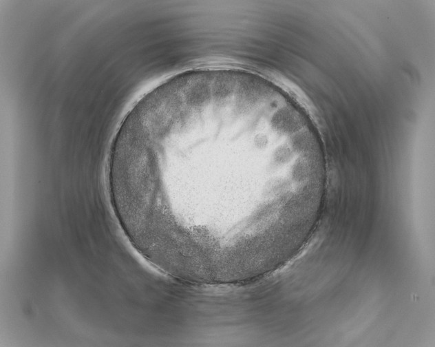 X0000112181429200908281351