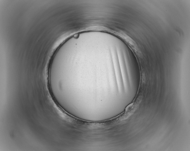 X0000112181430200908281351