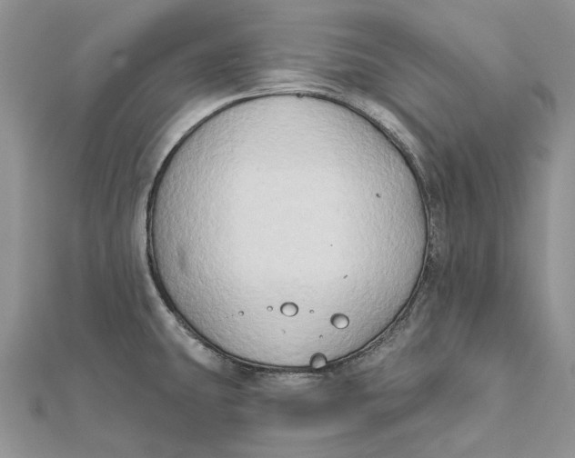 X0000112181431200908281351