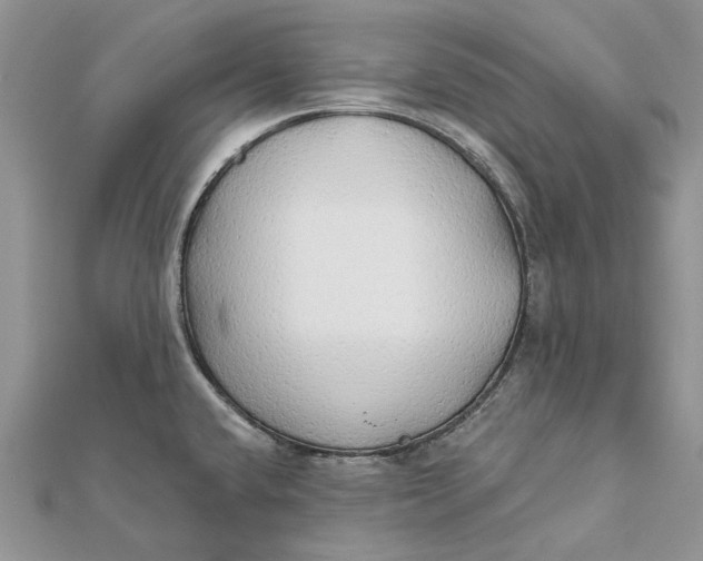 X0000112181432200908281351