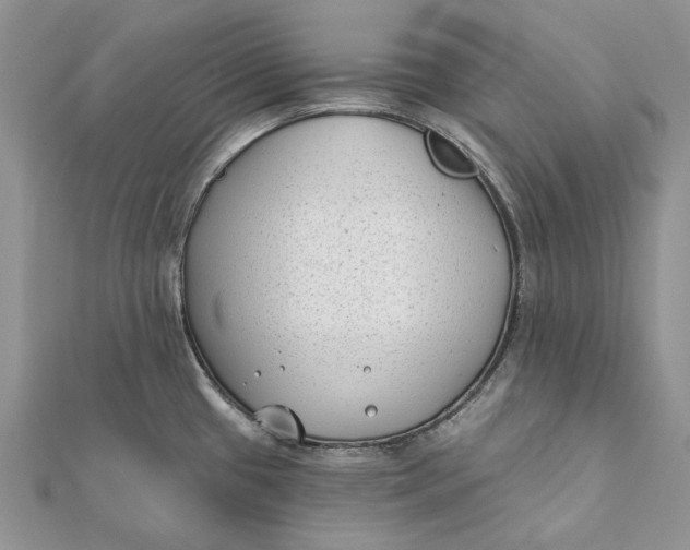 X0000112181433200908281351