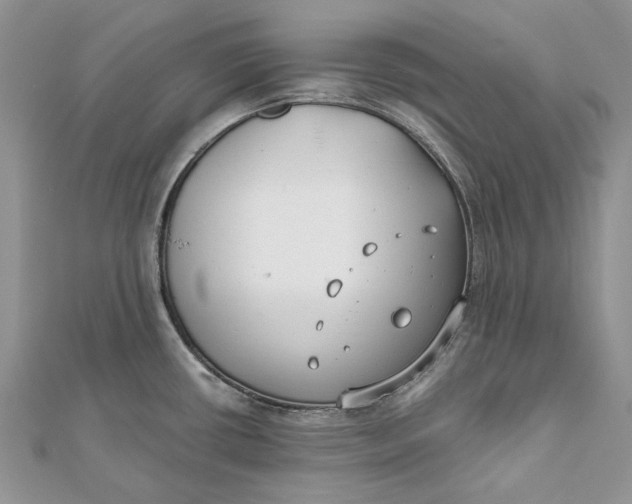 X0000112181434200908281351