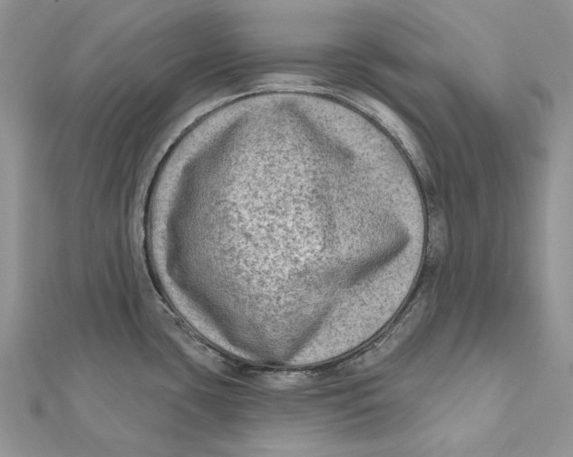 X0000112181435200908281351