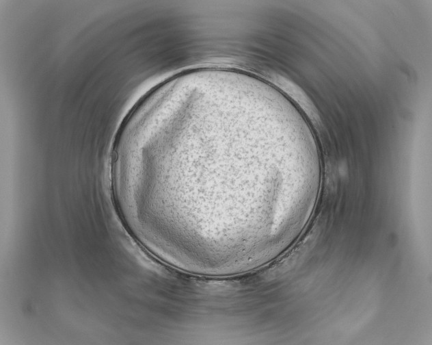 X0000112181436200908281352