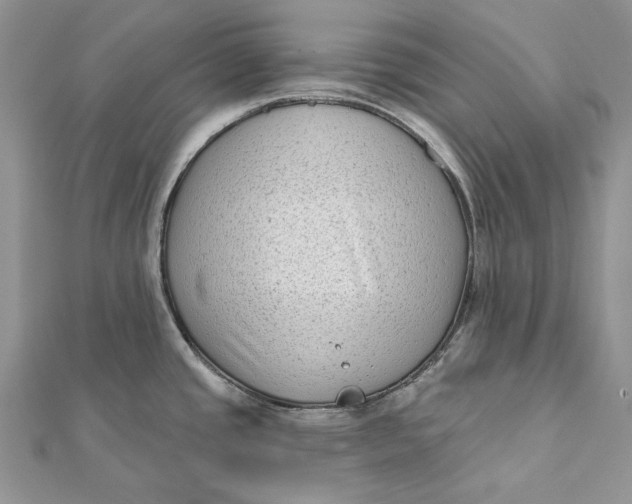 X0000112181437200908281352