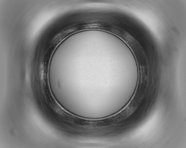 X0000112181438200908281352