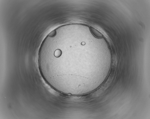 X0000112181439200908281352