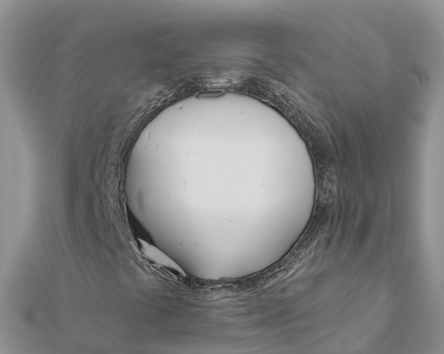 X0000112181441200908281351