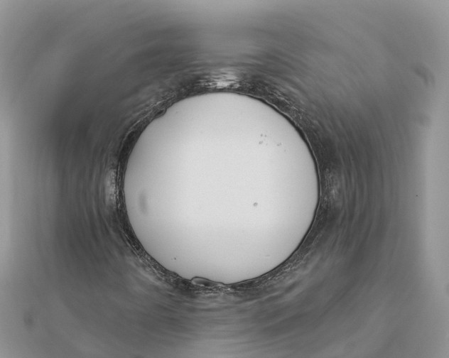 X0000112181442200908281351