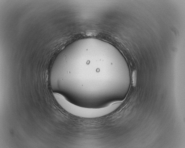 X0000112181443200908281351