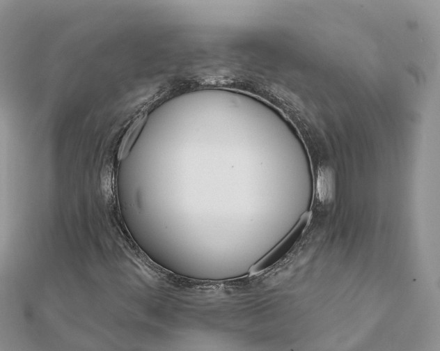 X0000112181444200908281351