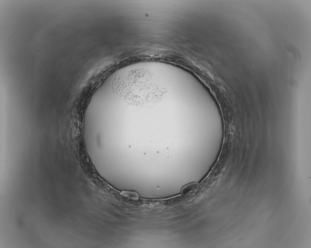 X0000112181447200908281351