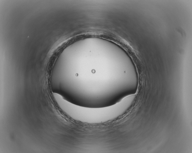 X0000112181448200908281351