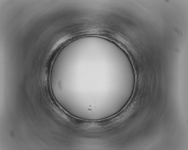 X0000112181450200908281351