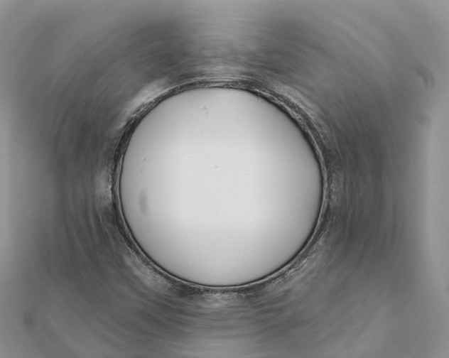 X0000112181451200908281351