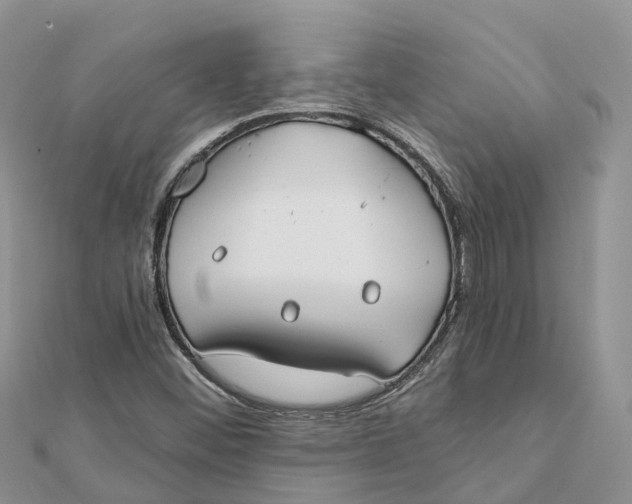 X0000112181452200908281351