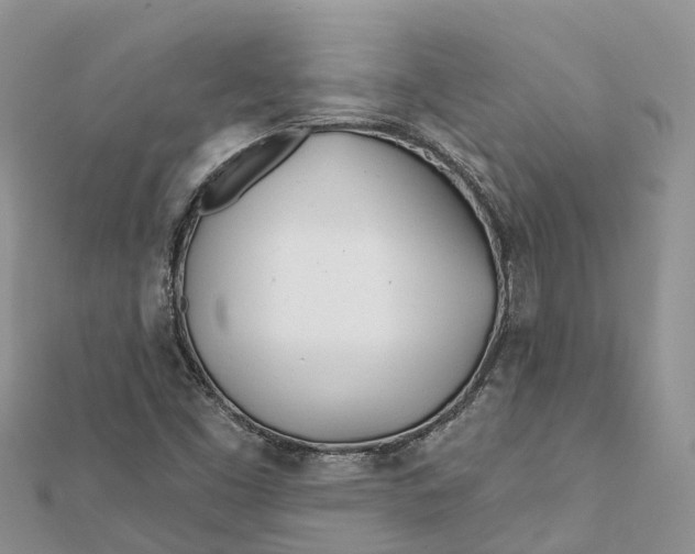 X0000112181453200908281351