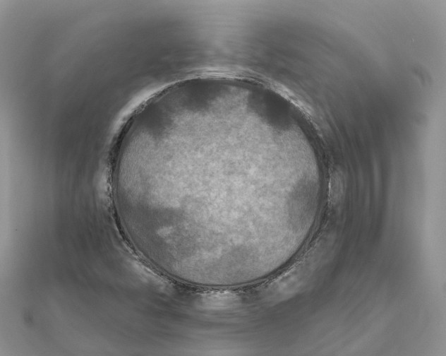 X0000112181454200908281351