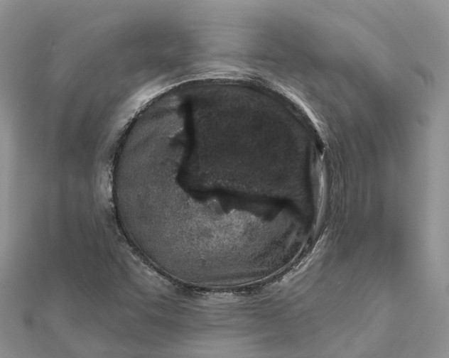 X0000112181455200908281351