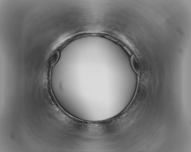 X0000112181456200908281351