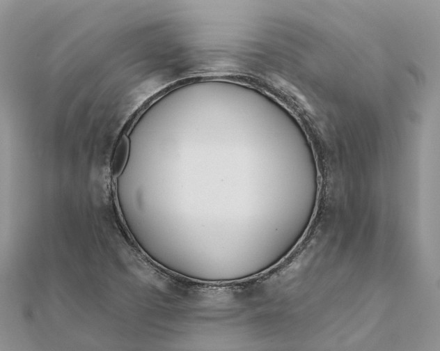 X0000112181457200908281351