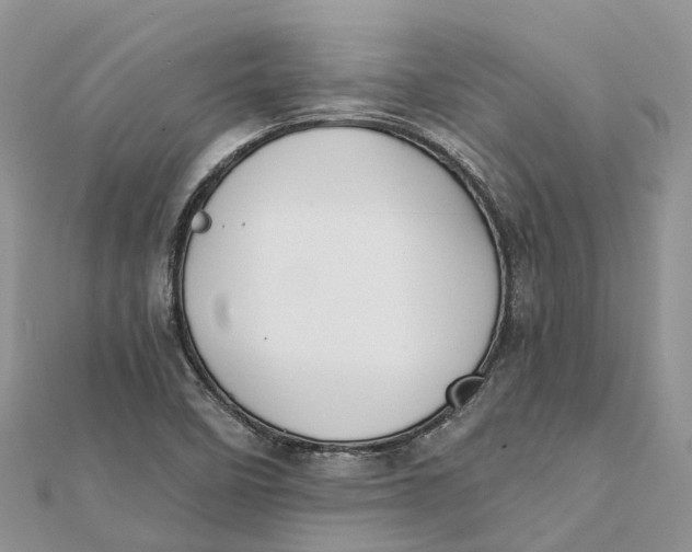 X0000112181458200908281351