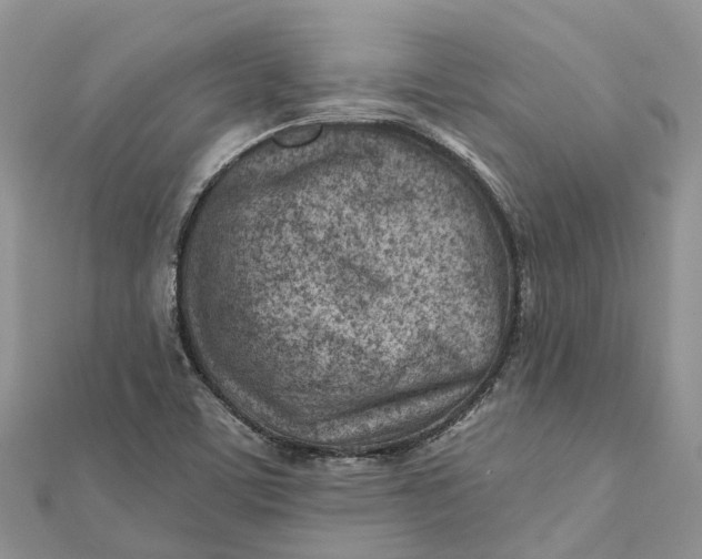 X0000112181459200908281351