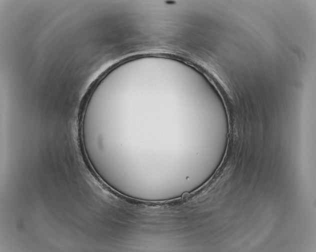 X0000112181460200908281351