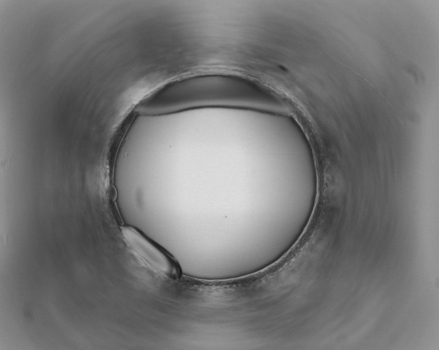 X0000112181461200908281351