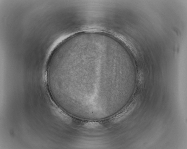 X0000112181462200908281350