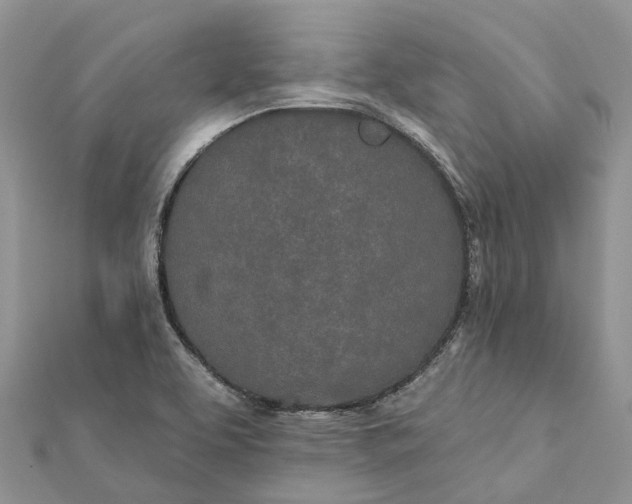 X0000112181463200908281350