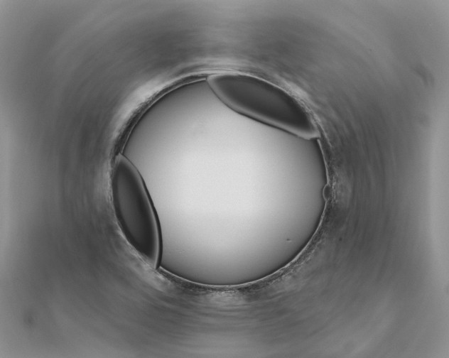 X0000112181464200908281350