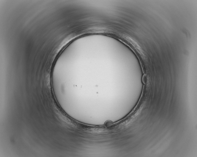 X0000112181465200908281350