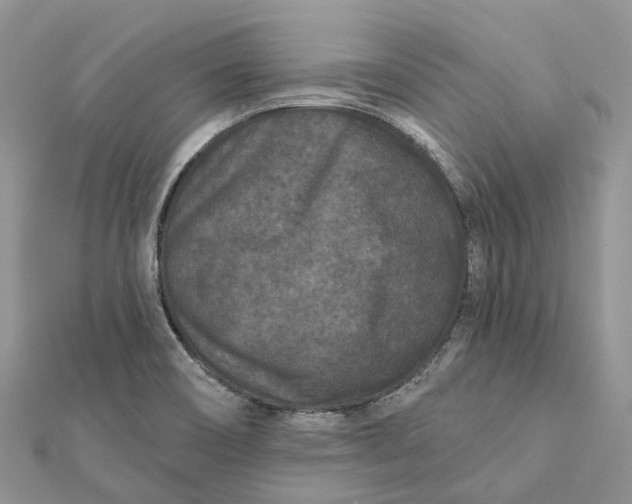 X0000112181466200908281350