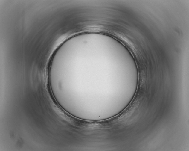 X0000112181467200908281350