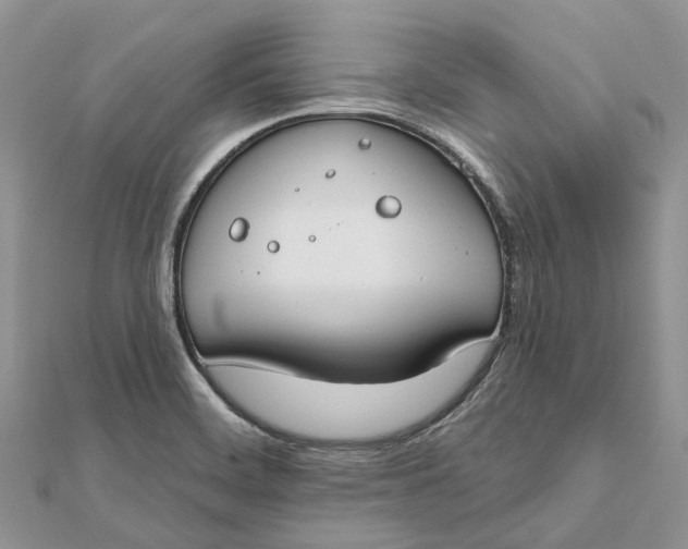 X0000112181468200908281350