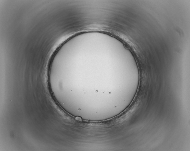 X0000112181469200908281350