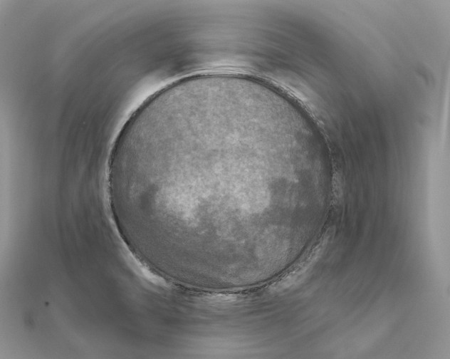 X0000112181470200908281350