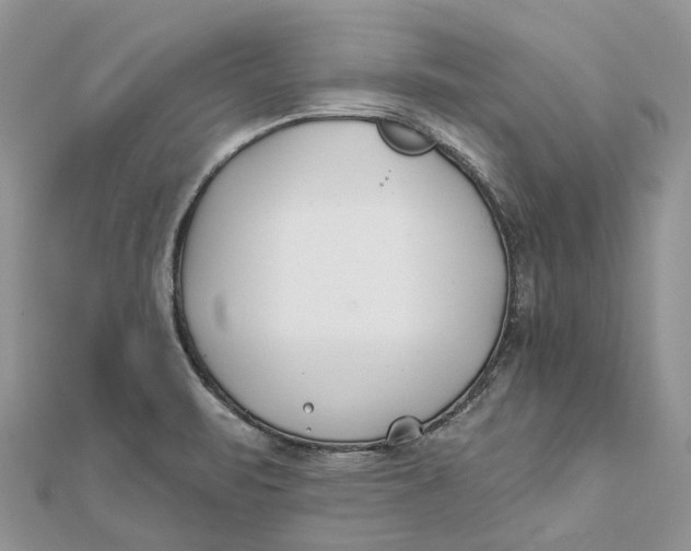 X0000112181471200908281350