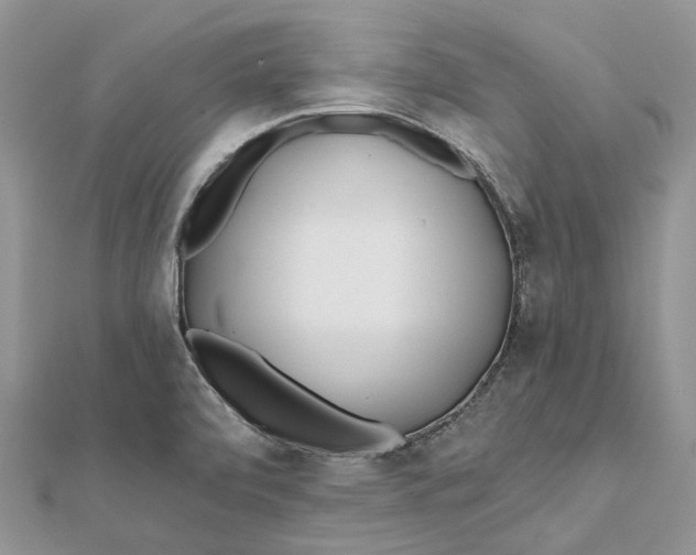 X0000112181472200908281350